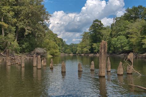 Datum of gage is 105. . Ogeechee river stage at rocky ford